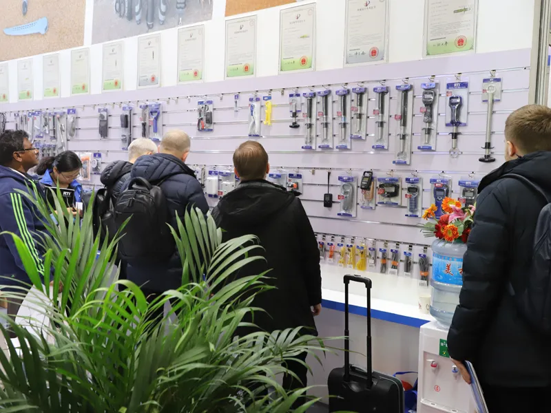 2017 exhibition