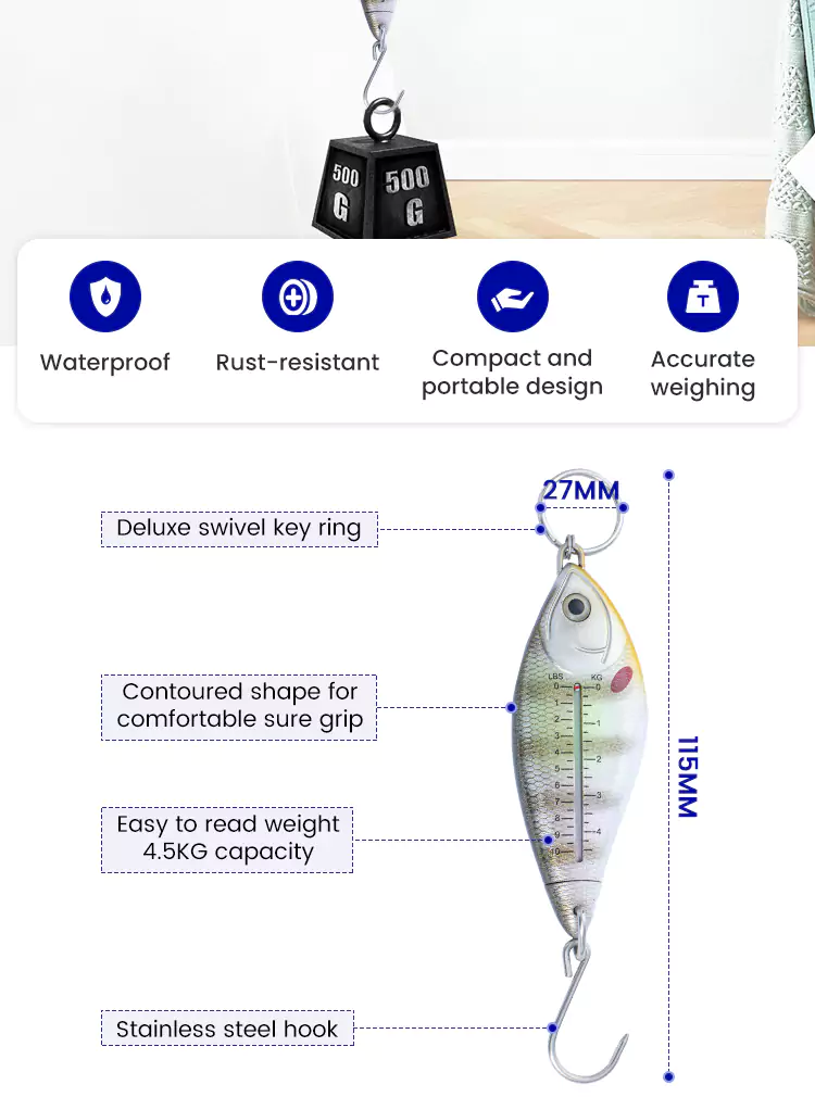 4.5KG Weight Hanging Spring Scale Product Dimensions and Details