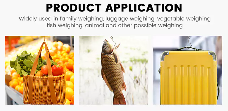 4.5kg Portable Mechanical Fishing Scale Product Applications