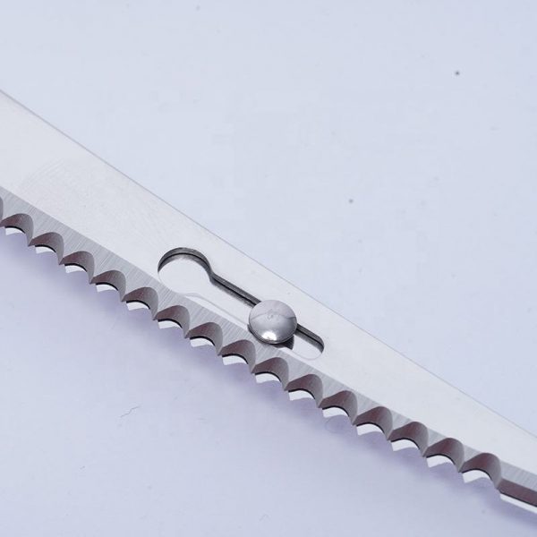 Cordless Rechargeable Reciprocating Serrated Electric Knife Cutting Meats Poultry Bread Fish Lithium Ion Electric Fillet Knife