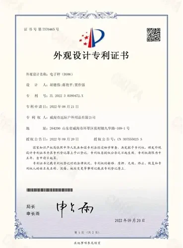 patent13