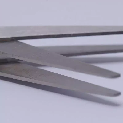 2-layer Stainless Steel Blade of Worm Scissors