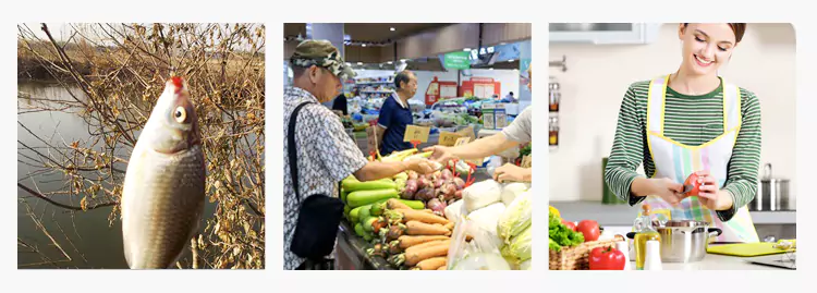 50KG Digital Fish Scale Product Applications