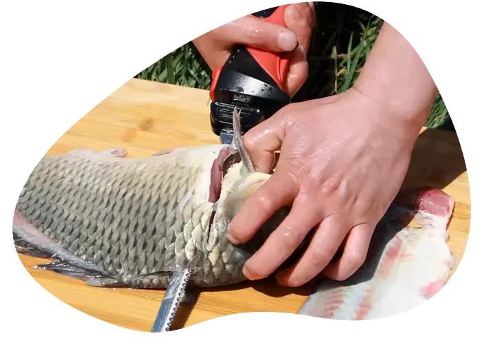 Electric Fillet Knife Advantages