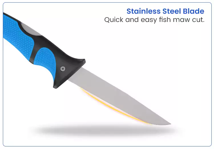 Stainless Steel Blade Folding Fillet Knife